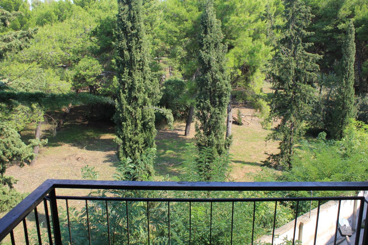 B&B Il Giardino In Citta - Parcheggio Privato Gratuito Φότζια Εξωτερικό φωτογραφία